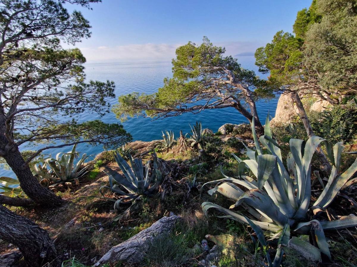 Apartment Villa Mirna Makarska Dış mekan fotoğraf
