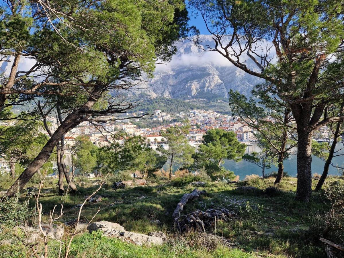 Apartment Villa Mirna Makarska Dış mekan fotoğraf