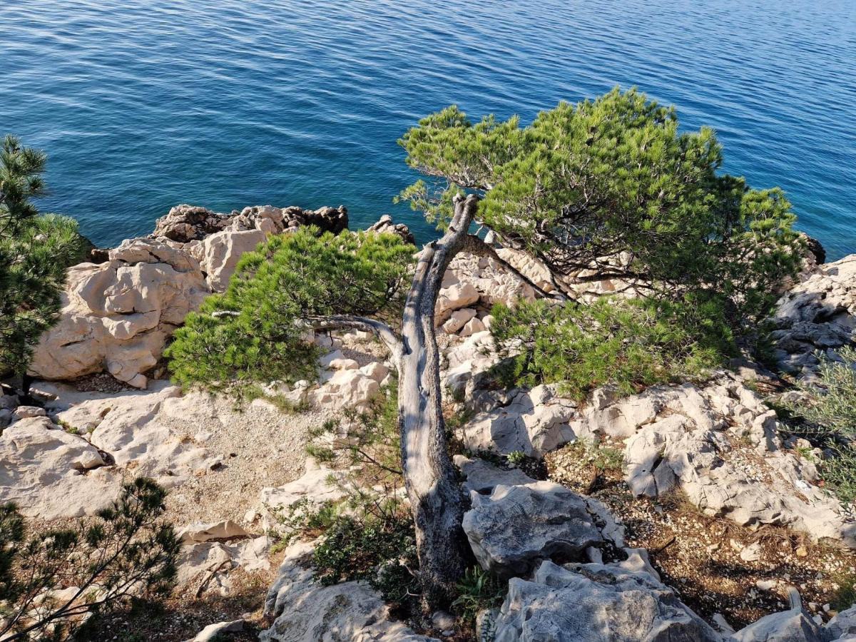 Apartment Villa Mirna Makarska Dış mekan fotoğraf