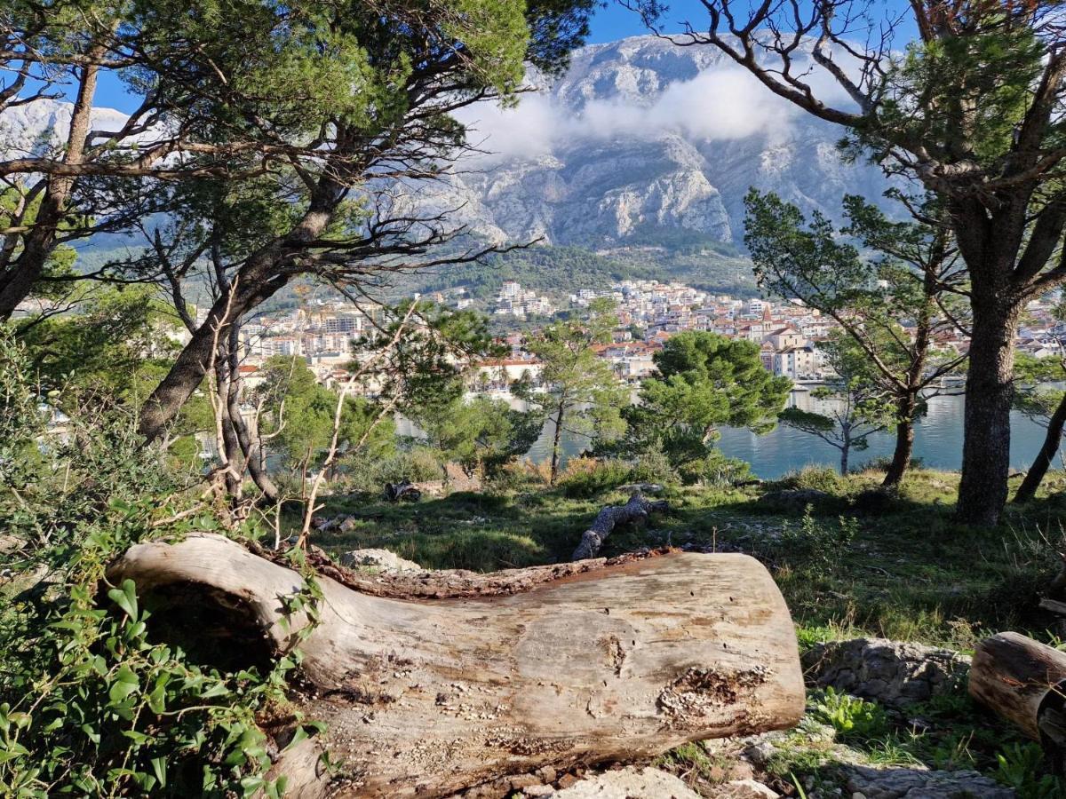 Apartment Villa Mirna Makarska Dış mekan fotoğraf